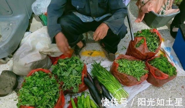 6种不怕过期蔬菜，家里囤点从夏吃到冬，如今多买点，秋冬有好菜！