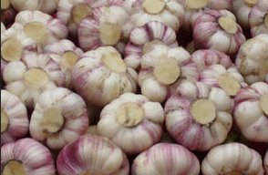 多吃些“杀菌菜”来保卫肠道健康