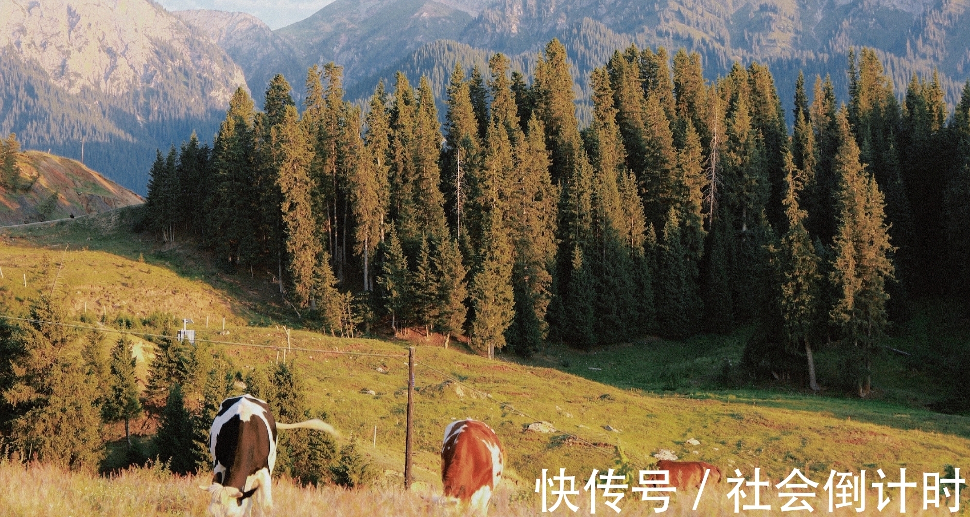 秋老虎|8月7号立秋，今年是早立秋还是晚立秋？立秋后还热吗？