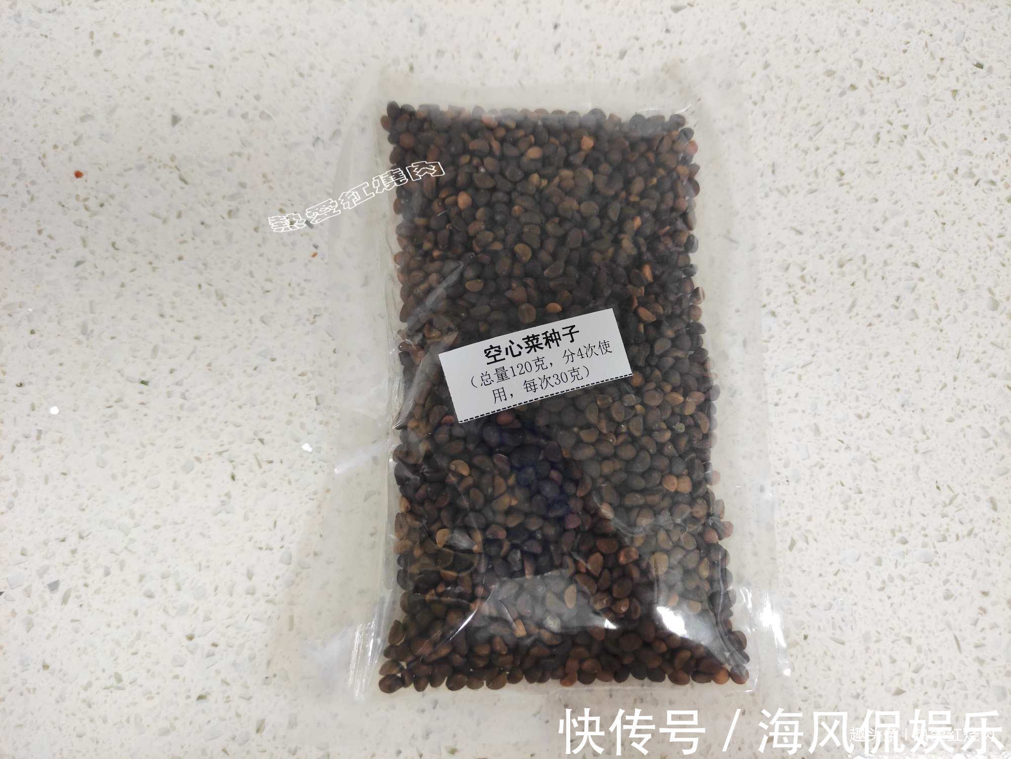 以前空心菜都是买着吃,这回用菜籽自己种的,不用土11天就能吃了