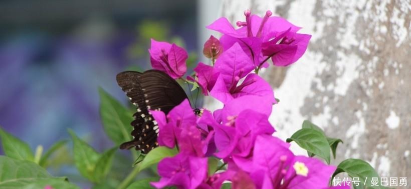 开心|10月-月底，四生肖鸿运缠身，富贵多金，开心发大财