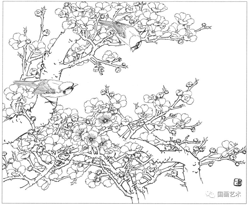  工笔|分享一组工笔花鸟白描