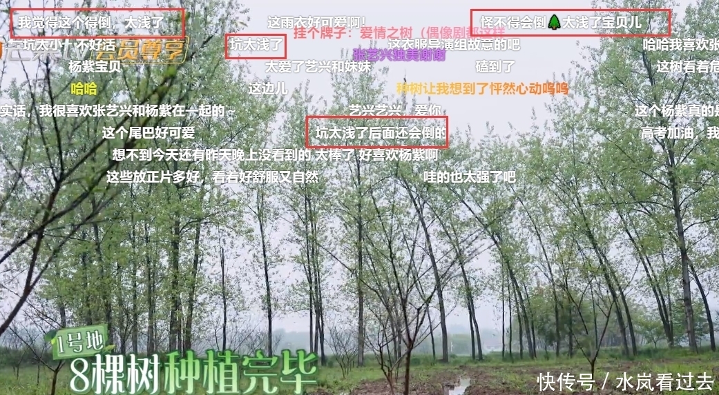 彭昱畅|张艺兴、杨紫种树被质疑作秀?挖坑时的动作引发网友热议!