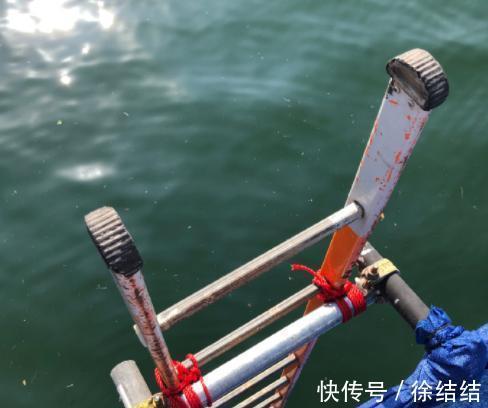 中国名宿|央视宣布,全红婵比赛模式确定!中国名宿当裁判:来吧,往海里跳