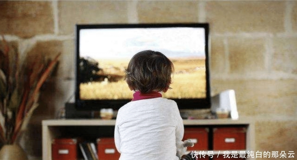 看电视|哈佛大学研究发现:“看电视”和“不看电视”的孩子,差距巨大