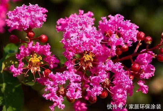 5月11日阴历是多少 5月11日阴历是多少