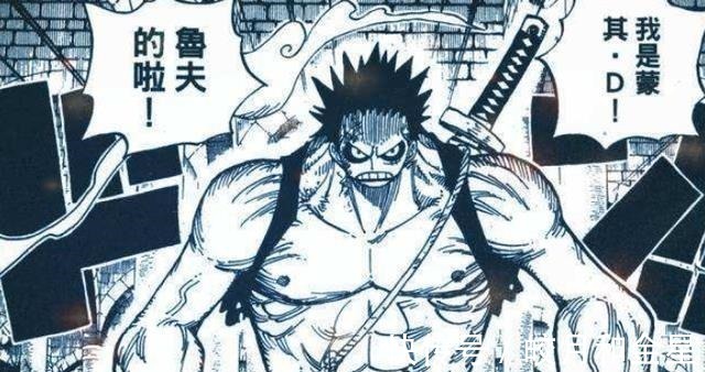 御田|海贼王尾田埋藏了20年的伏笔,目的就是让“双武士”打败凯多