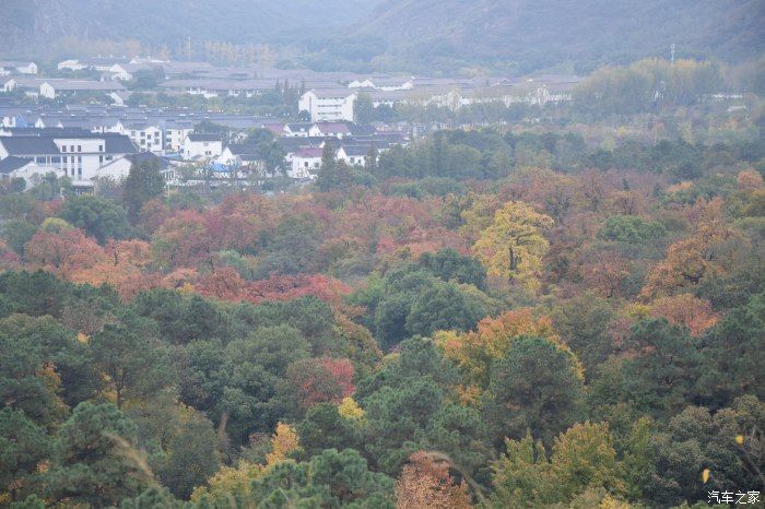 天平山|【喜迎国庆】停车坐爱枫林晚，霜叶红于二月花。游天平山赏枫叶