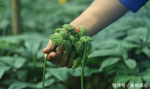 活血化瘀|女人若有子宫肌瘤，尽量多吃这几样食物，肌瘤可能会慢慢消失