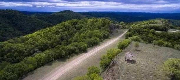 不长|为什么当年秦始皇修的路，过了几千年连草都不长呢？这才是真相