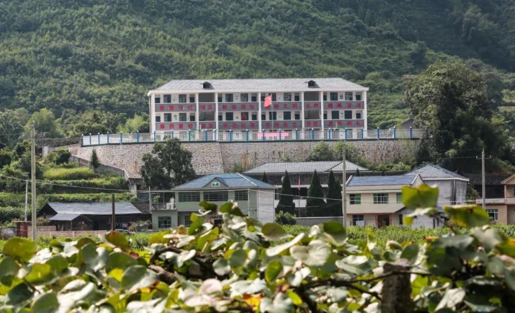 回流|“化缘校长”，让这所村小迎来生源回流