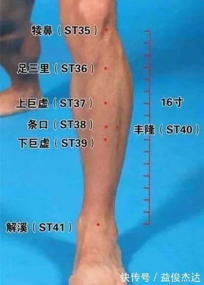 中渎穴|调理手颤、手麻、脚麻、面部神经麻痹,它们是立竿见影的必调穴