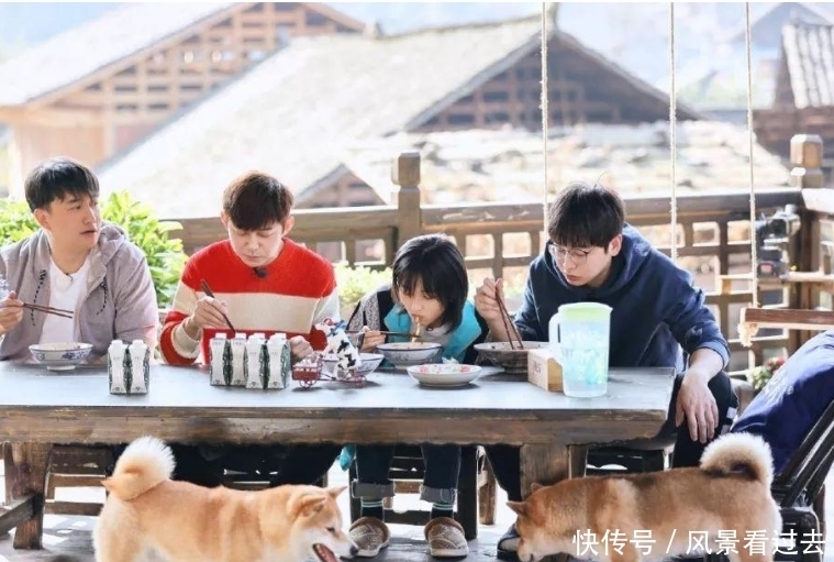 魅力 《向往5》迎来有魅力的嘉宾,黄磊都得热情讨好,他的背景太大