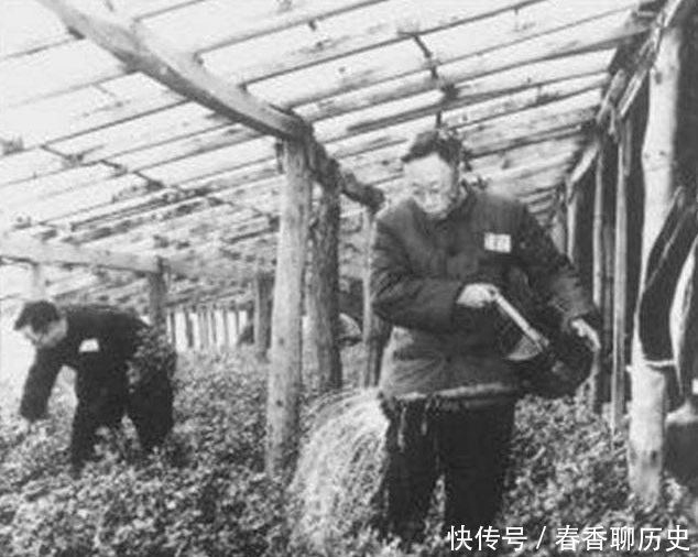 生活|溥仪成平民后,第一个月的工资买了这些东西,不愧是当过皇帝的人