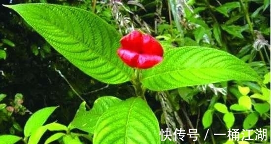 快来亲吻我、热情的吻、甜蜜的吻,深情的拥抱甜蜜的热吻