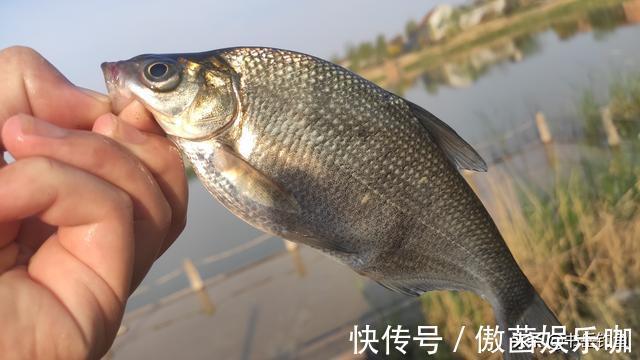 又要得罪人了!钓鱼中铅坠才是爆护密码,想要连竿要看你怎么用?