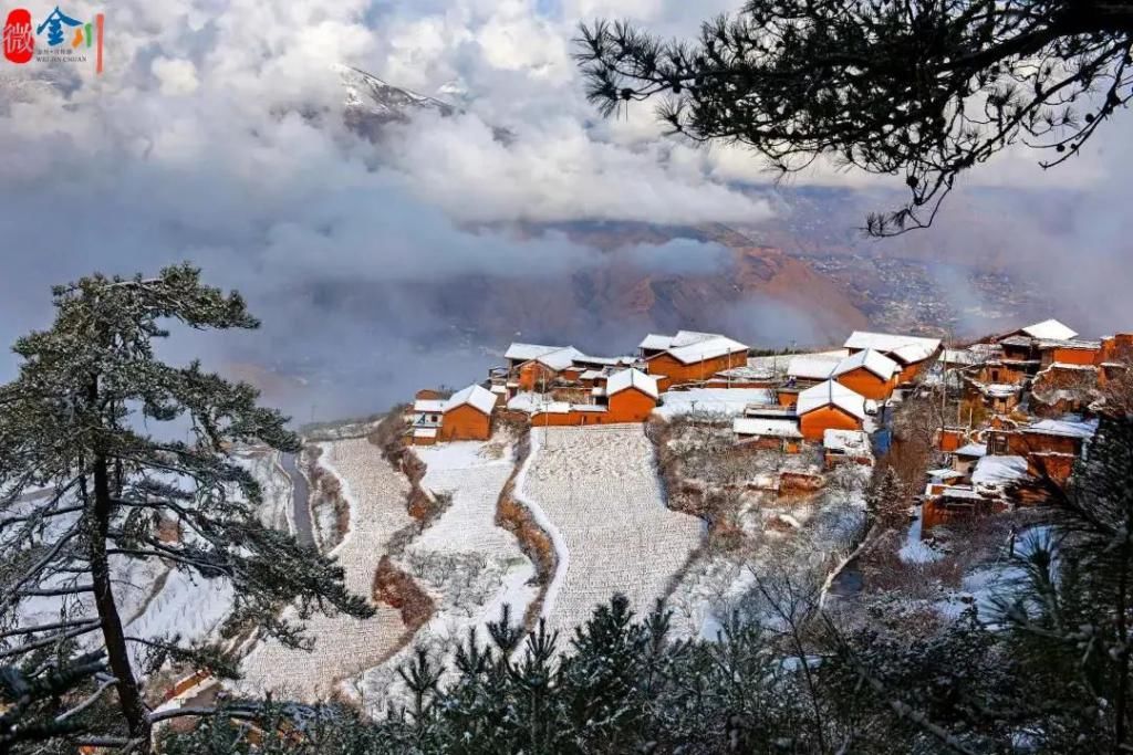 迎一场春雪 待春来花开