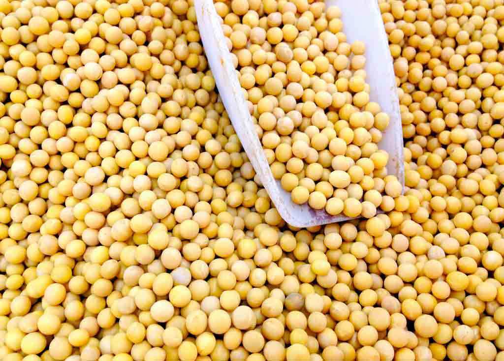 血液粘稠|血液粘稠的“稀释剂”找到了,早晚坚持吃几口,血液不稠血栓不扰