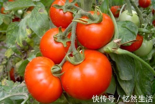 肠胃疾病|夏季孩子易积食，提醒：多吃这“2黄”，或可调节肠胃健康