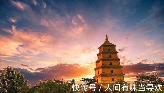 望月有感!入选中小学教材诗词最多“五大巨头”是谁,最多的达到多少篇?