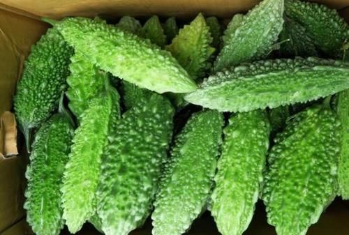 在你身边|藏在身边的“天然避孕药”,备孕期的小夫妻需忌口,或能迎接好孕