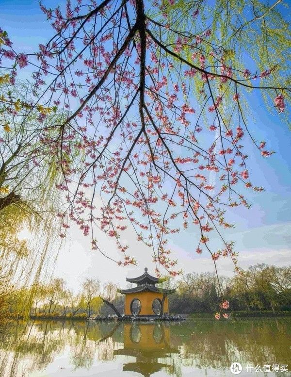 春饼#中国人立春的美食，到底有多“卷”？