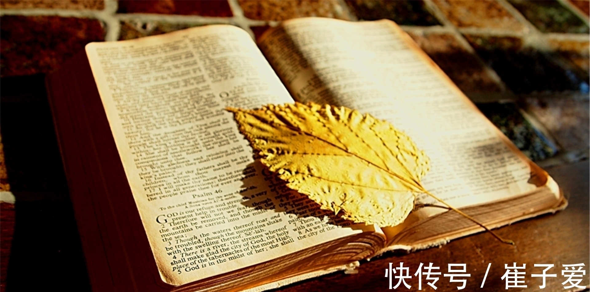 合作&永远不要轻视《论语》!它赋予你的,是人生最硬核的能力