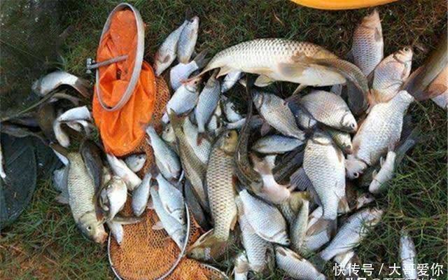 调漂技巧:想知道双饵在水底是什么状态?可以看这些公式