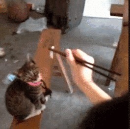 |搞笑GIF:女汉子真是不简单啊,还以为妹子要坐上去呢