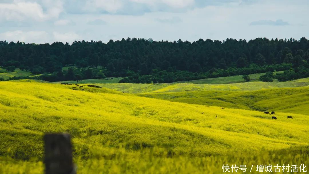 度假乡居模式开发|传统村落如何升级为乡村度假综合体？