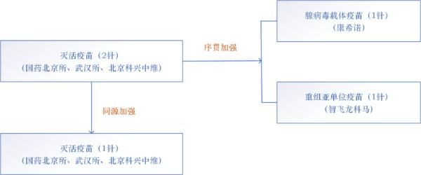 腺病毒载体|加强针有新打法？什么是序贯免疫？