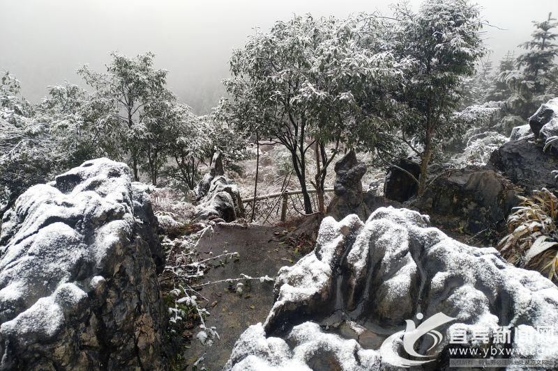 不胜|银装素裹美不胜哉 兴文苗乡迎来今冬首场大雪