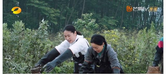 真实|张子枫的真实:融不进去就玩自己的,管你是那英还是梁静