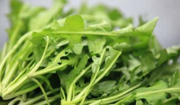  荠菜中含|养生不吃点荠菜，总感觉少点什么，因为“三月三、荠菜赛仙丹”