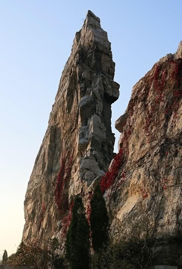 伯夷叔齐之饿死首阳山——“文化观念”害死人不偿命