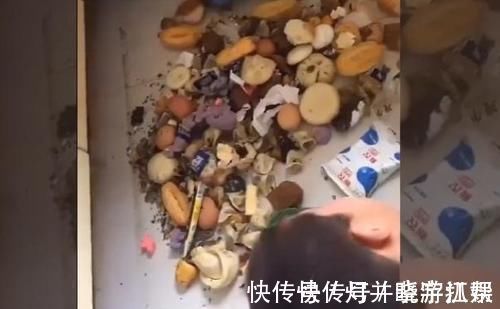熊孩子|妈妈发现了一个不爱吃早饭的“熊孩子”,真想不到,藏得也太深了