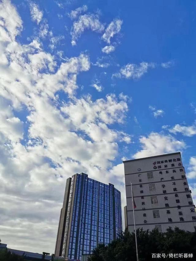 《七绝.初冬印象》霜染苍茫已入冬,枝条飞叶落无穷