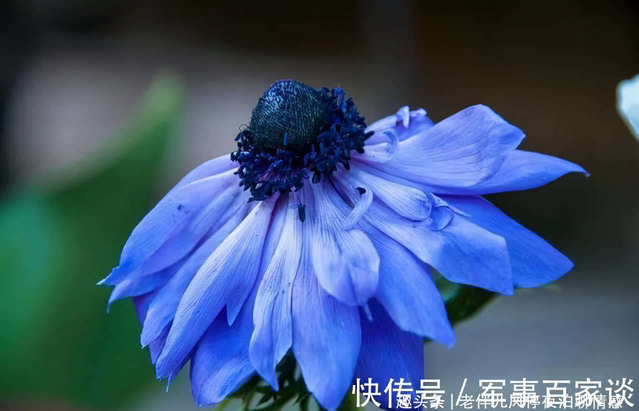 心态|熬过人生4大坎，必成大器！早懂早受益