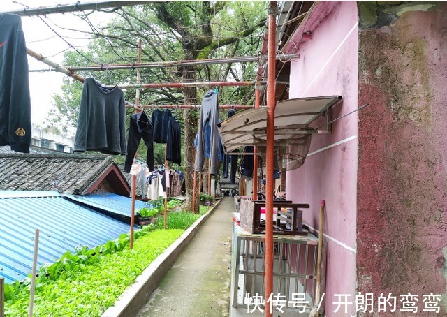 老房子|长沙这里的老房子破烂不堪,地缘优势堪比五一广场,但没人敢拆