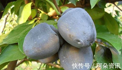 食物|聪明人喜欢吃3种食物,美容养颜、淡化皱纹,好处多多!