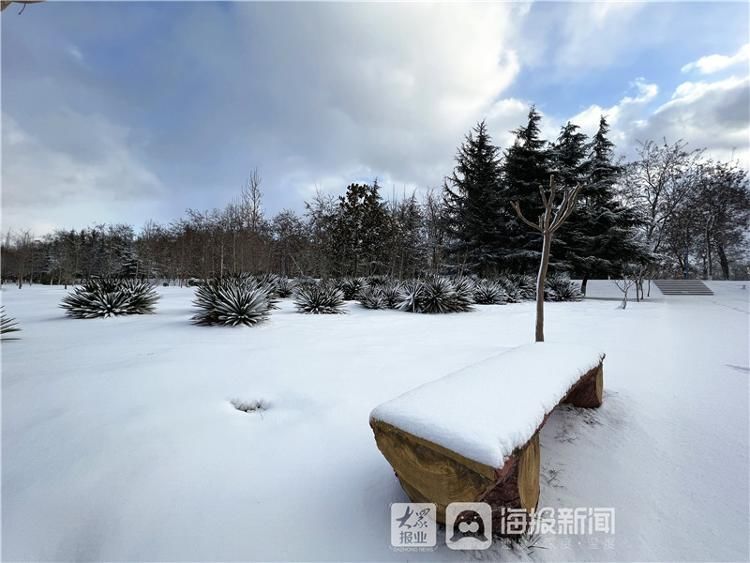 烟台市牟平区沁水河公园雪景美如画|图集| 牟平区