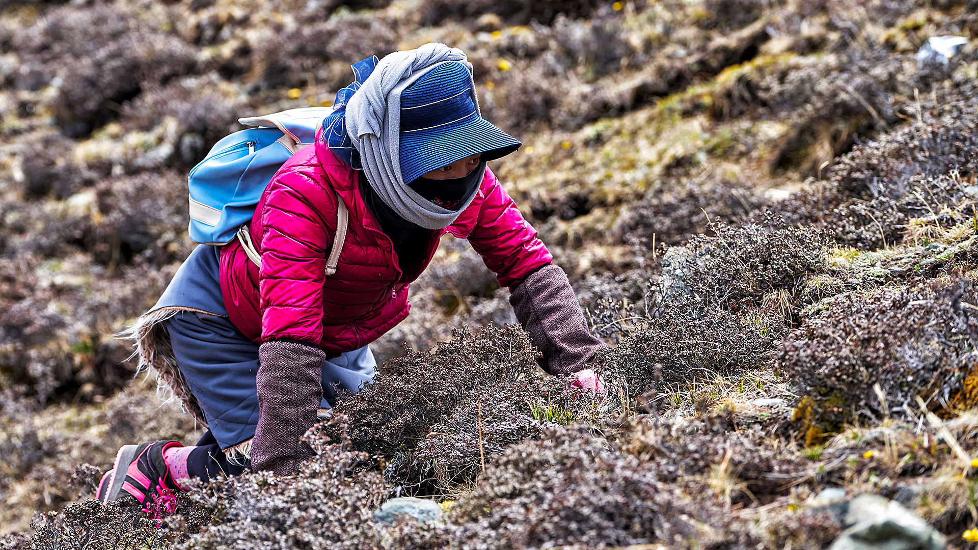 在熟悉的318国道上画出两个鲜有人知的圈~川西游记-格聂&塔公