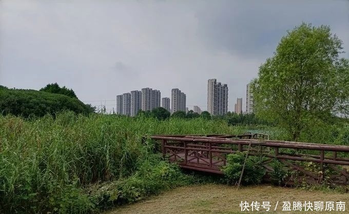 景点|独墅湖生态公园，闹市中的一块桃源