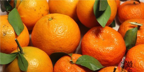 咳嗽痰多|吃不完的橘子皮别扔了,只需蒸一蒸,出锅秒变陈皮,作用太厉害了