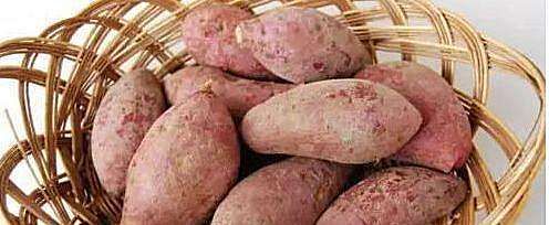 女性养生，适合坚持吃几种食物，排毒燃脂，滋养肌肤