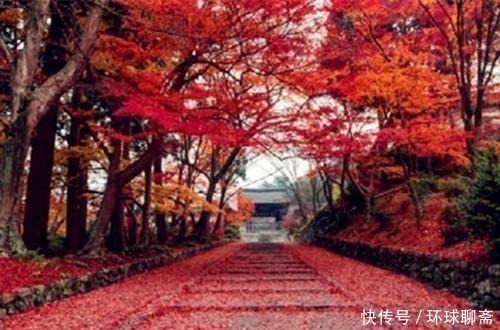 玉楼&断鸿渺渺空银海，疏雨潇潇满玉楼；八首七律诗，已是天凉好个秋