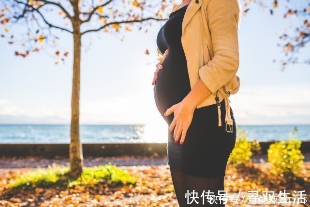 智商|出生季节决定孩子智商高低?哈佛大学:这个季节孩子出生更聪明