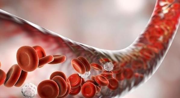 血栓|天然“溶栓高手”终于暴露了,每天吃一点,血栓或将“悄悄”溜走