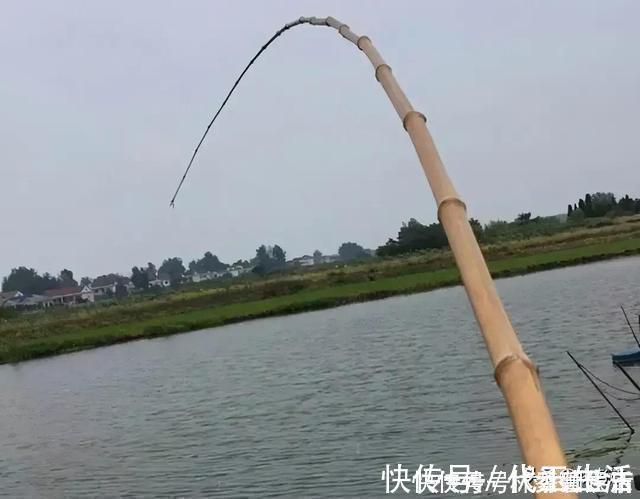 禁钓范围逐步扩大已是大势所趋,或将对钓鱼人、渔具业影响深远