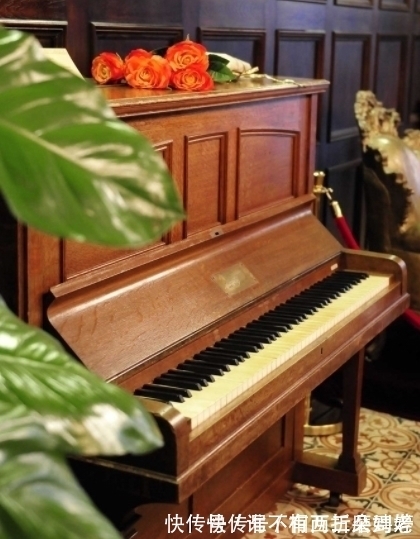 工作人员|1瓶可乐价值198000?熊孩子用可乐给钢琴洗澡,父母脸色苍白